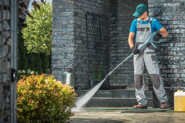 Best Dumpster Area Cleaning  in Franklin Park, IL